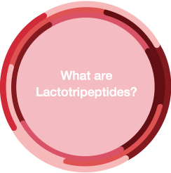 What are Lactotripeptides?