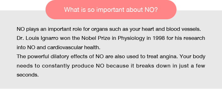 What is so important about NO?