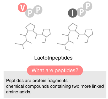 What are peptides?