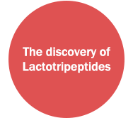 The discovery of Lactotripeptides
