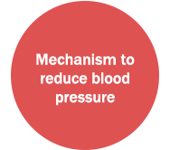 Mechanism to reduce blood pressure