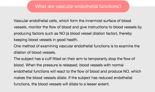 What are vascular endothelial functions?