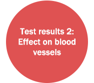 Test results 2: Effect on blood vessels