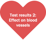 Test results 2: Effect on blood vessels